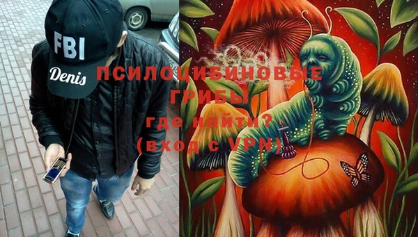 твердый Покачи