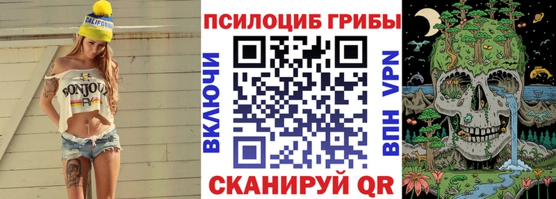 Галлюциногенные грибы Psilocybine cubensis  Бор 